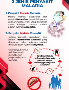 Malaria: 2 Jenis Penyakit Malaria